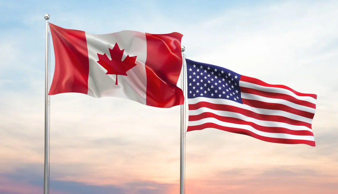 WhatsApp Image 2025-02-06 at 9.35.16 AM