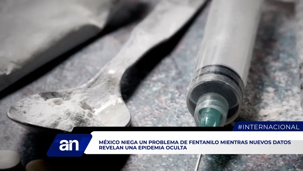 FV_Mesa de trabajo 1 copia