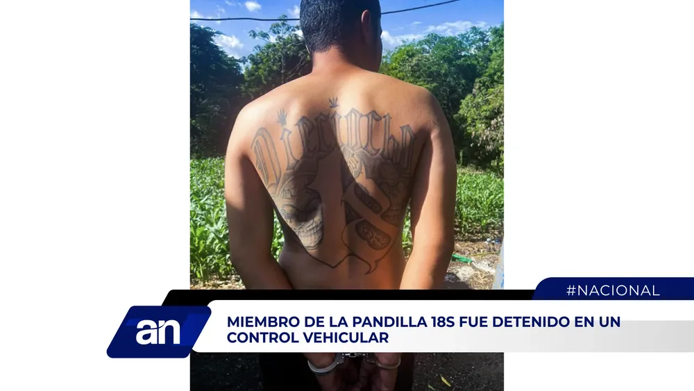 AN_Mesa de trabajo 1 copia 2