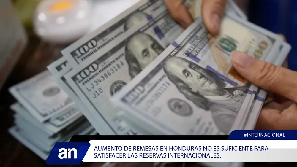 YOP_Mesa de trabajo 1