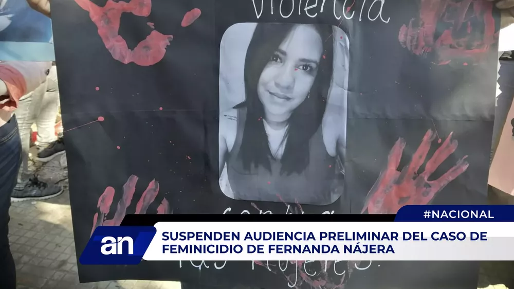 Fernanda Najera_Mesa de trabajo 1