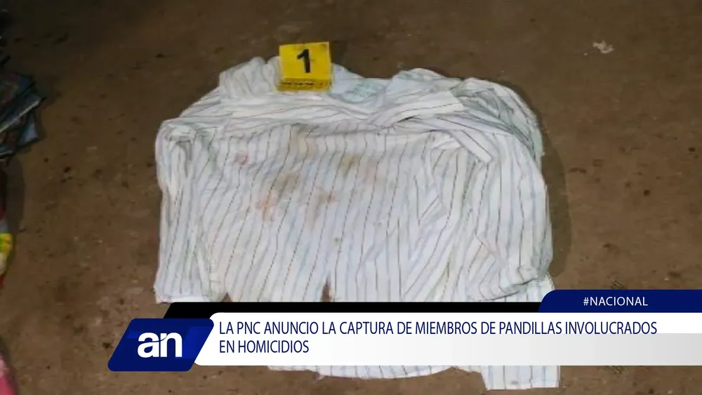 65884_Mesa de trabajo 1