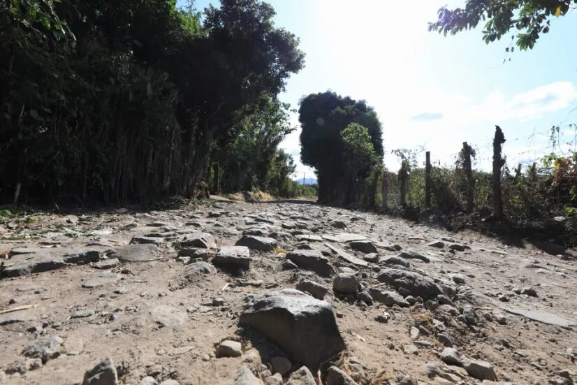 6b9f60af-ee99-491b-8e4c-bd3a1ced580d