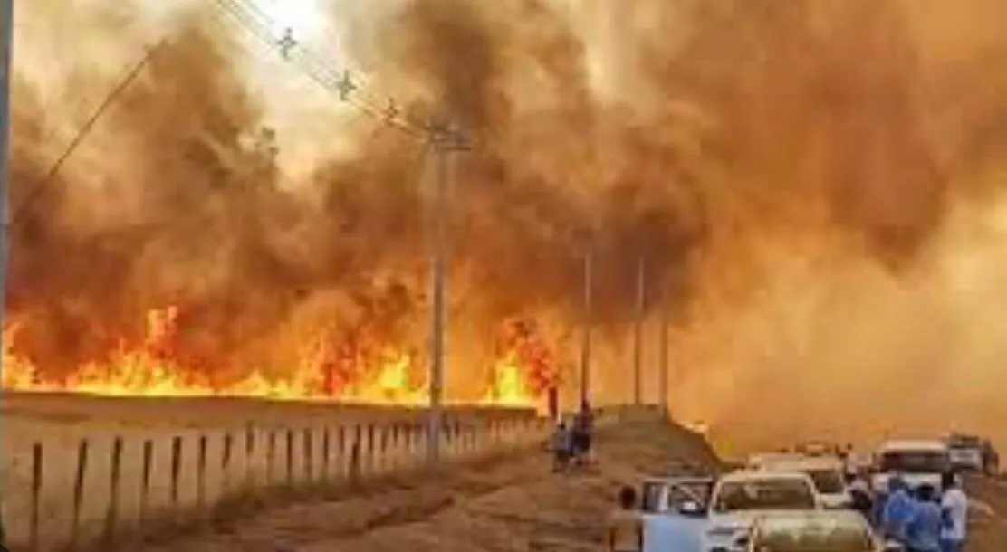 WhatsApp Image 2024-08-29 at 6.36.45 AM