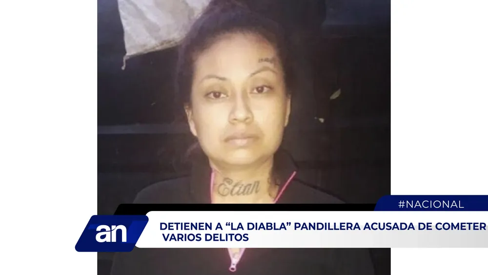 AN_Mesa de trabajo 1 copia 2