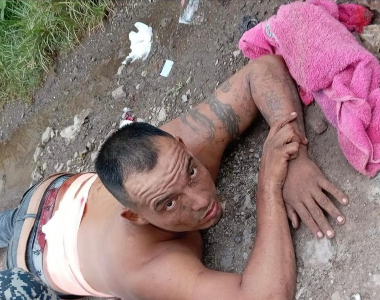 WhatsApp Image 2024-08-14 at 8.41.21 AM