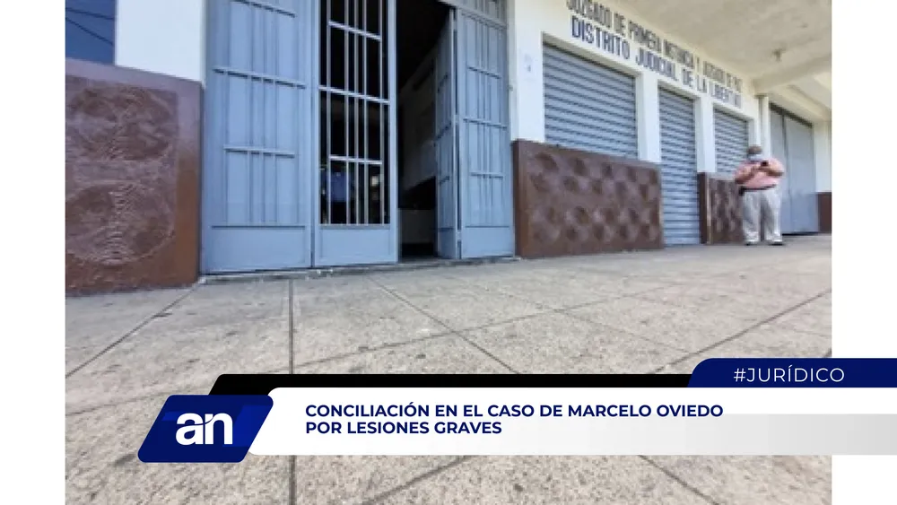 AN Formato 02_Mesa de trabajo 1 copia