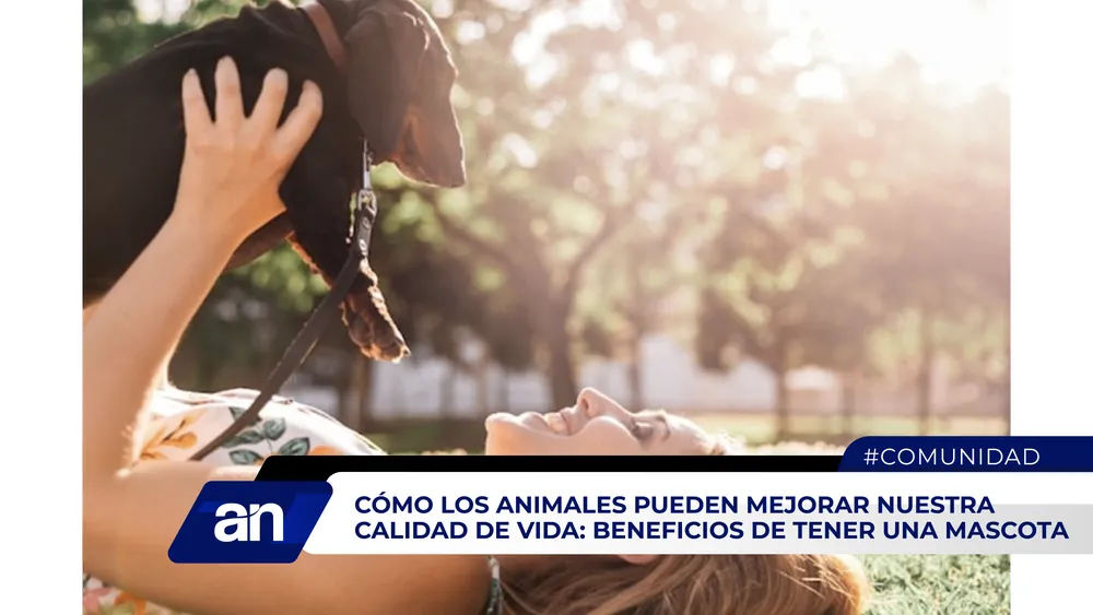 AN Formato 02_Mesa de trabajo 1 copia 3