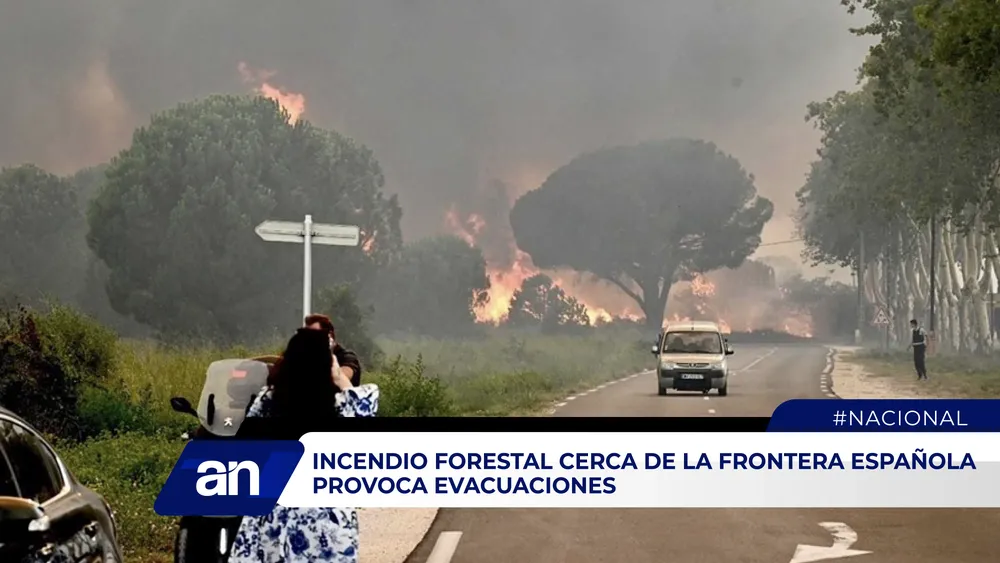 an_Mesa de trabajo 1 copia 5