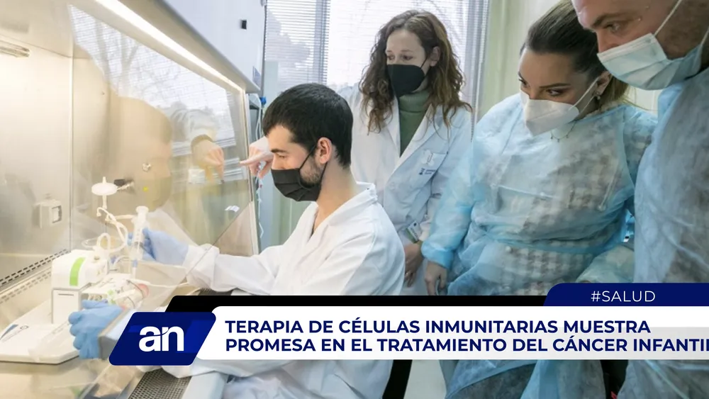 AN_Mesa de trabajo 1