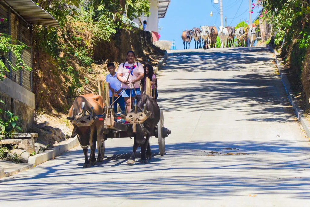 WhatsApp-Image-2024-01-18-at-4.49.39-PM-3-1024x683