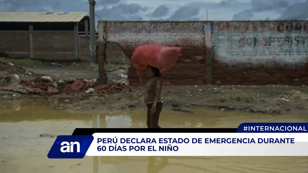 NOTIS_Mesa de trabajo 1 copia 2