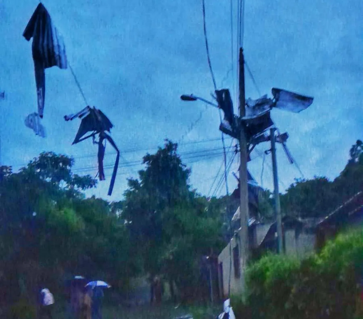 WhatsApp Image 2024-07-20 at 6.45.16 AM