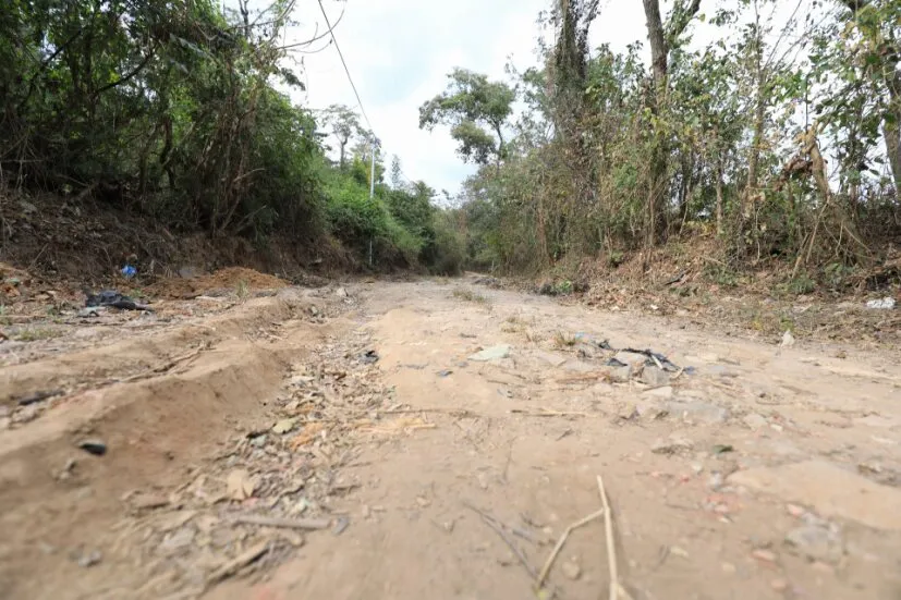 a15690d9-a143-4a5f-861f-bea85274552a