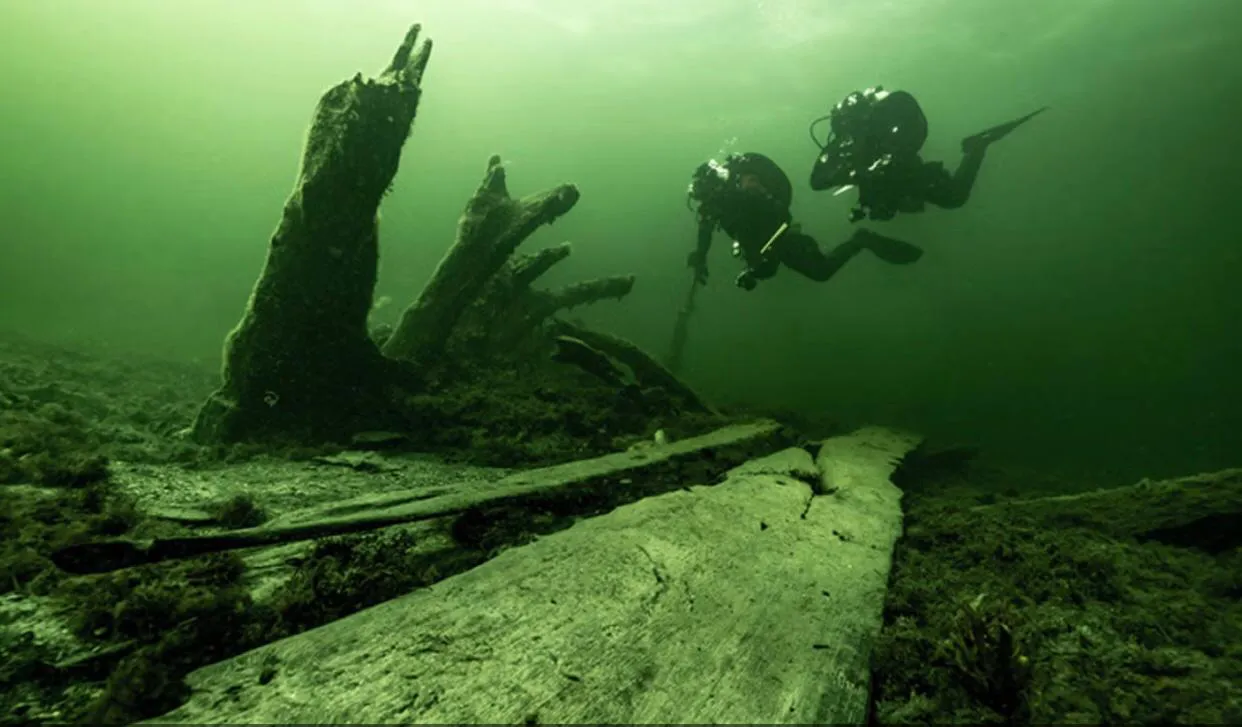 WhatsApp Image 2024-04-29 at 10.43.51 AM