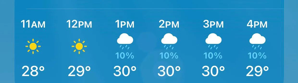 WhatsApp Image 2024-07-24 at 7.38.08 AM