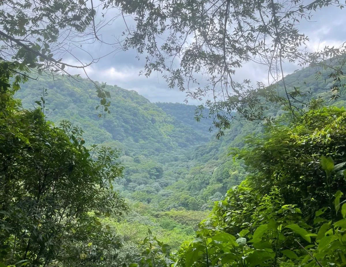 WhatsApp Image 2026-03-10 at 11.50.51 AM (2)