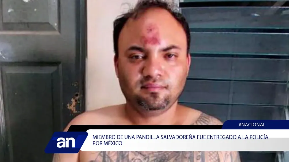 78_Mesa de trabajo 1