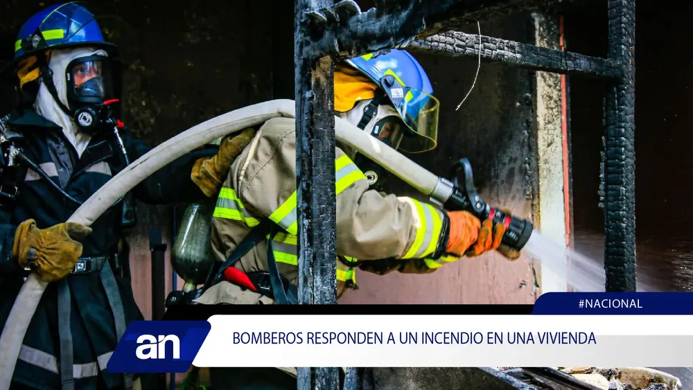 30_Mesa de trabajo 1