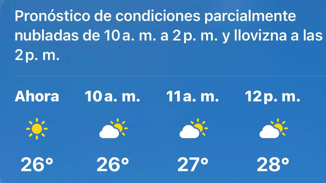 WhatsApp Image 2024-11-20 at 9.56.14 AM