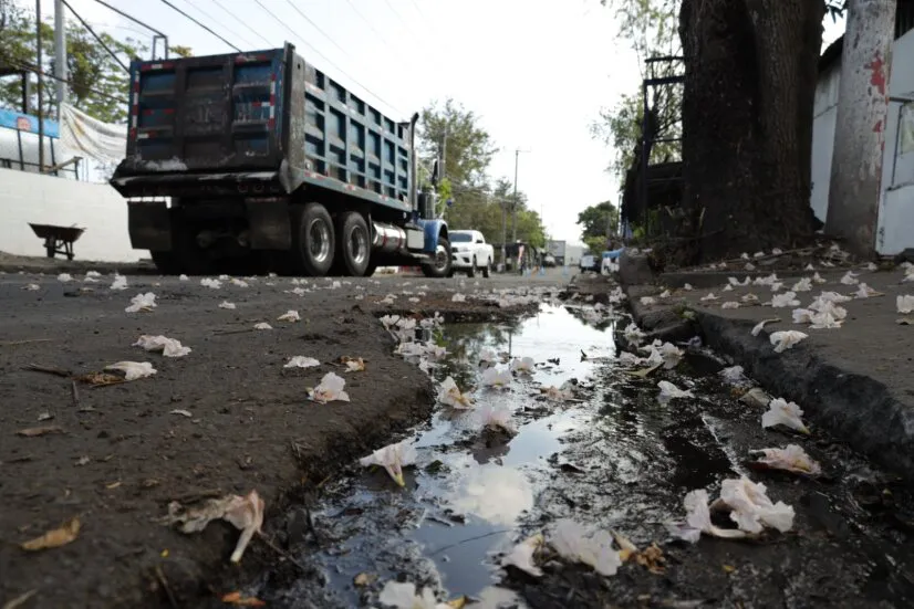 0c27e89f-0f40-4696-a63d-da2f81fccffd (1)