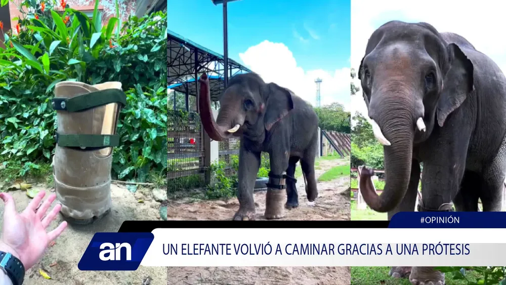 31_Mesa de trabajo 1