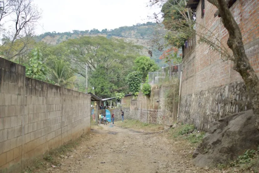 a1541eb7-b497-411d-91db-fb431a27e995