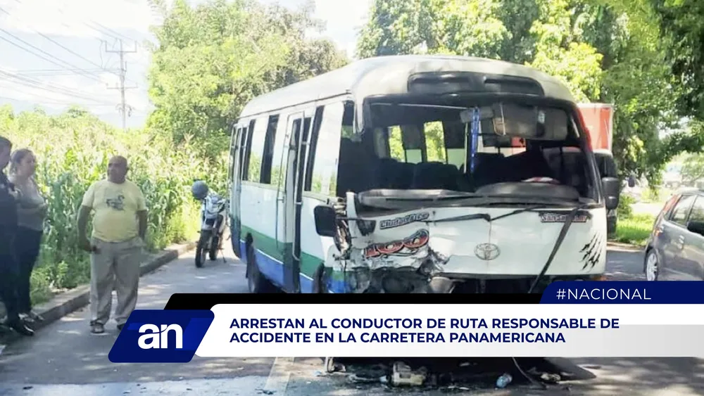 AN Formato 02_Mesa de trabajo 1 (1)