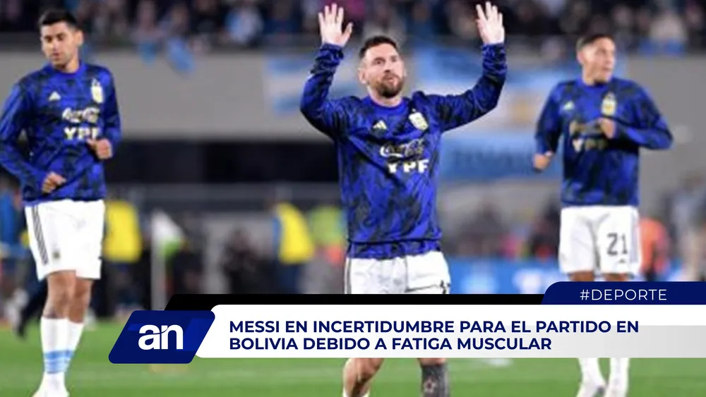 AN Formato 02_Mesa de trabajo 1 copia 3 (1)