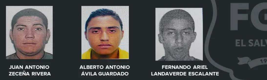 WhatsApp Image 2024-09-04 at 9.50.12 AM