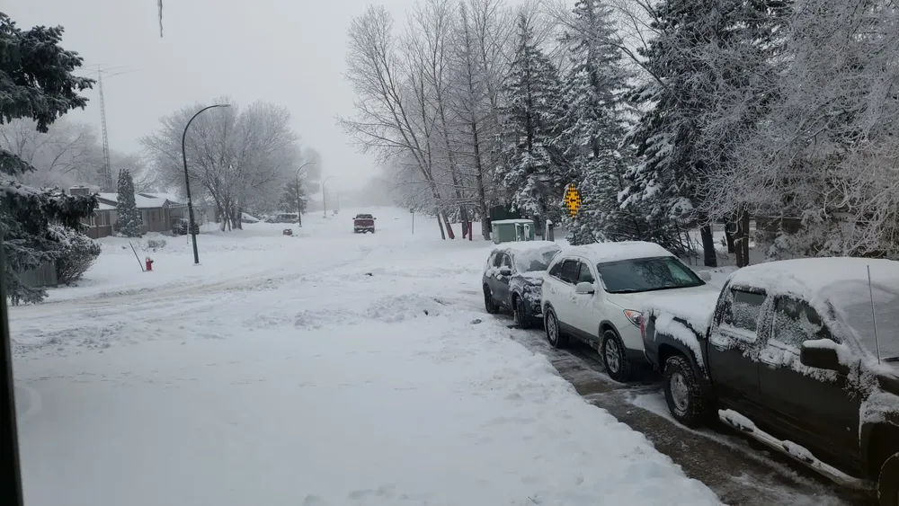 WhatsApp Image 2024-01-15 at 8.33.50 PM