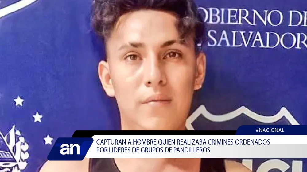 vg_Mesa de trabajo 1