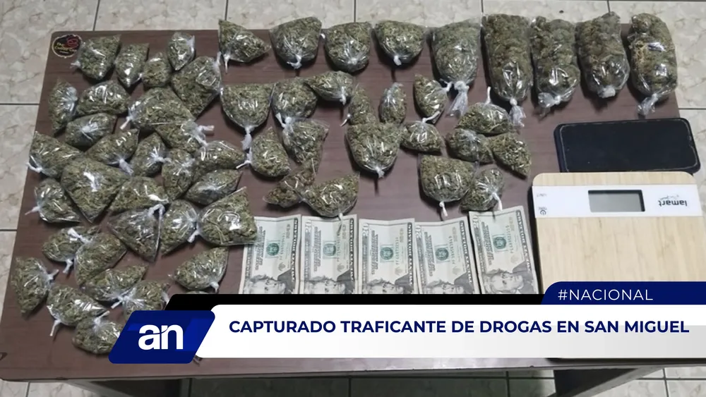 AN Formato 02_Mesa de trabajo 1 copia 3