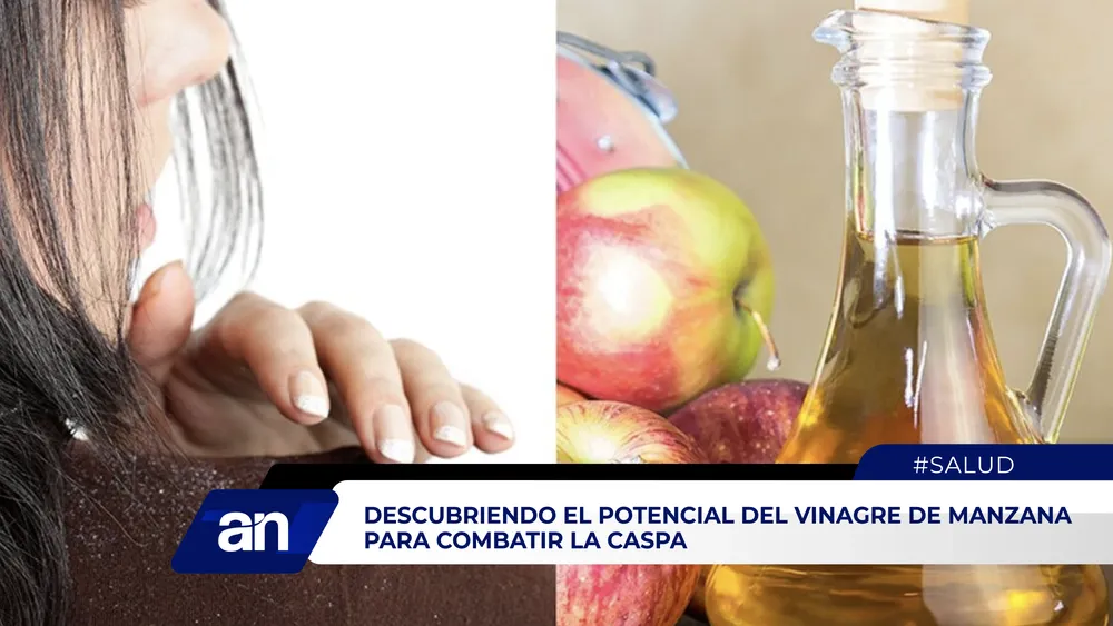 AN Formato_Mesa de trabajo 1 copia 2