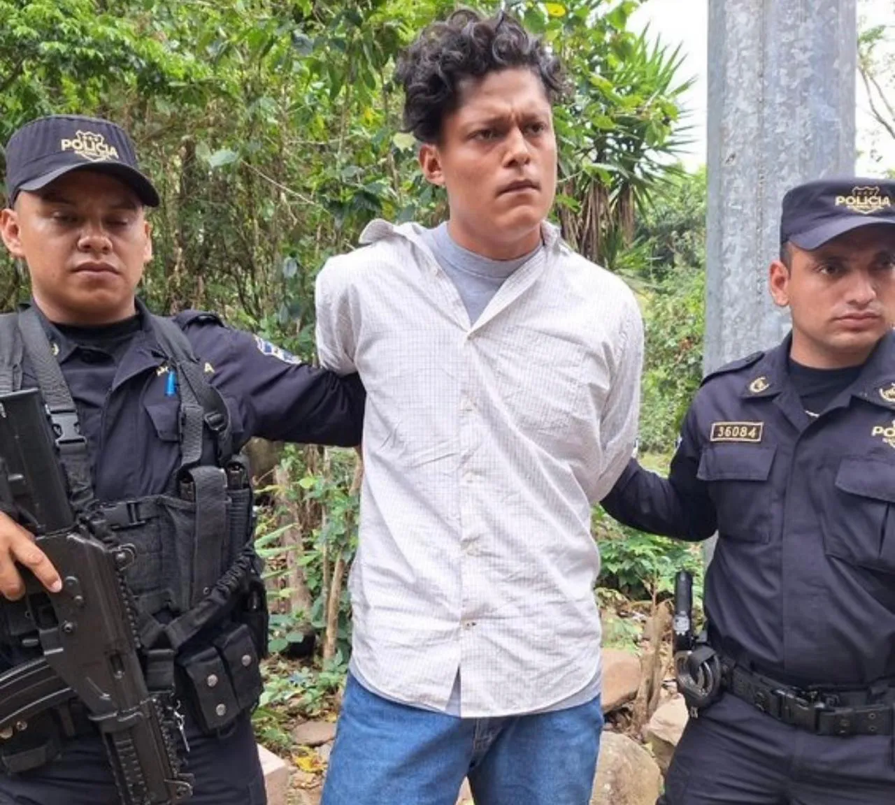 WhatsApp Image 2025-01-03 at 8.11.02 AM