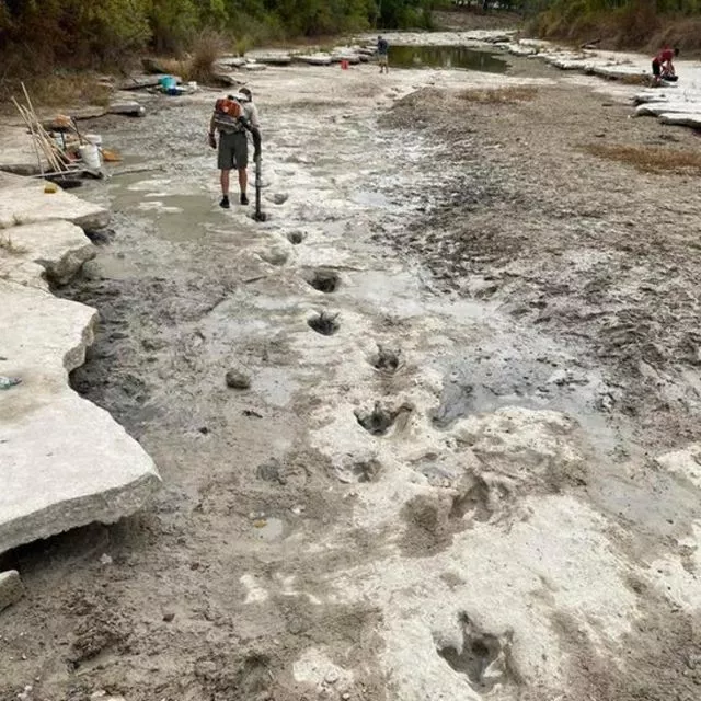 DINOSAUR VALLEY PARK/PAUL BAKER/BBC NEWS MUNDO