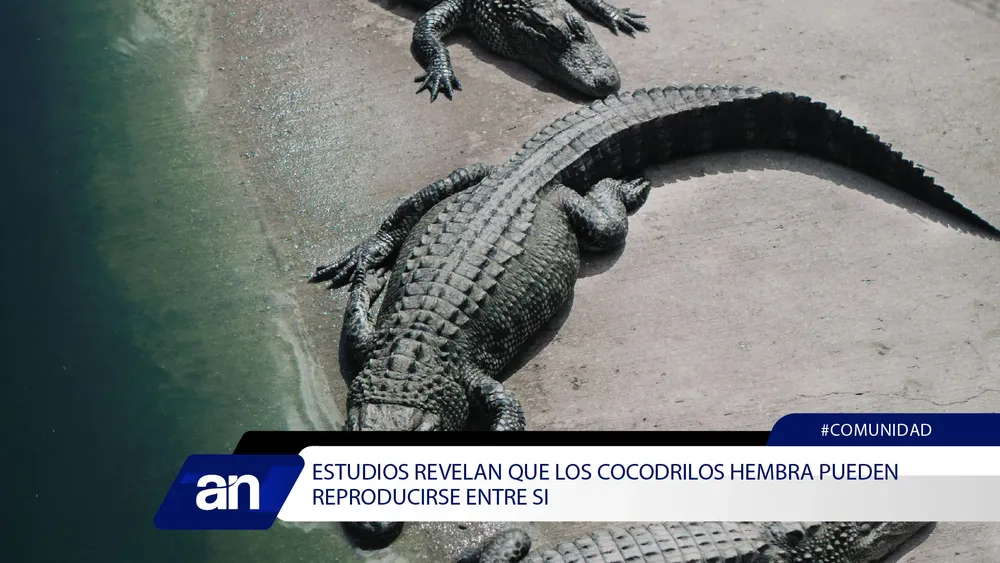 CU_Mesa de trabajo 1