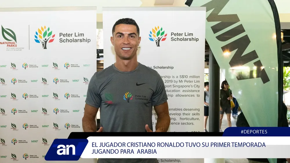 13234355_Mesa de trabajo 1