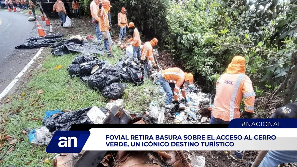 AN Formato 02_Mesa de trabajo 1 copia 4