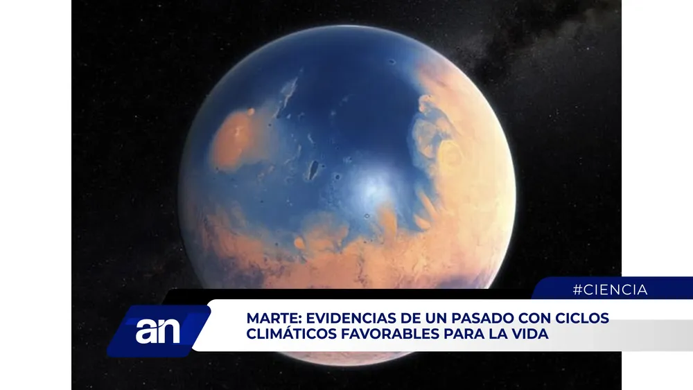 AN Formato 02_Mesa de trabajo 1 copia 5