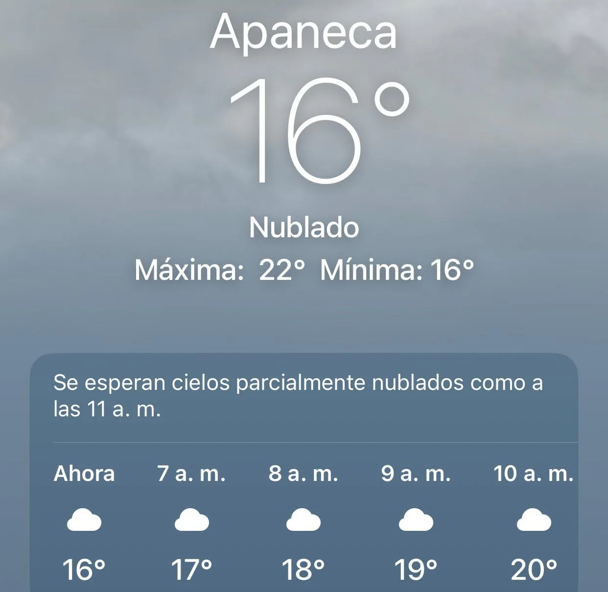 WhatsApp Image 2024-09-26 at 6.30.53 AM