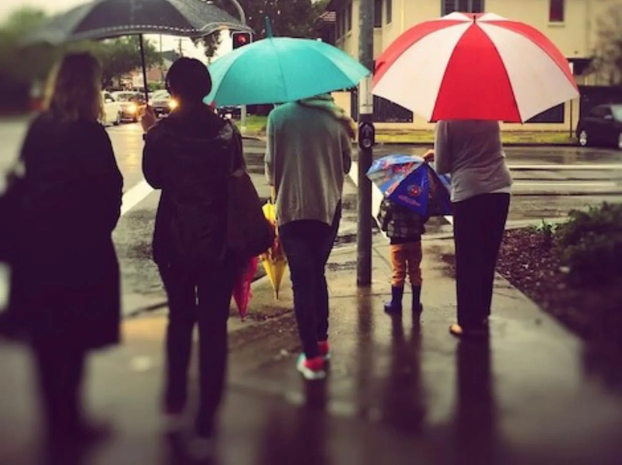 WhatsApp Image 2024-07-20 at 6.55.31 AM