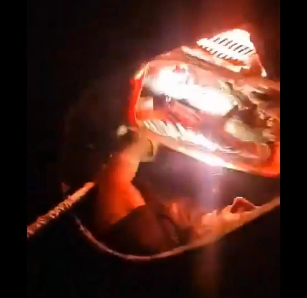 WhatsApp Image 2024-04-23 at 10.02.22 AM