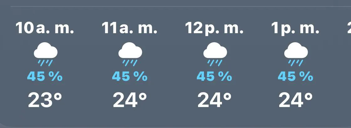 WhatsApp Image 2024-11-18 at 9.28.08 AM