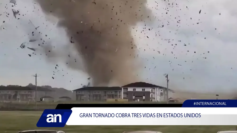 31_Mesa de trabajo 1