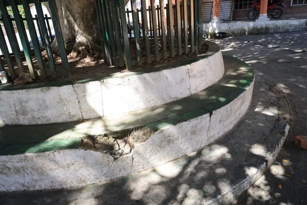 20231124122247_081A4242