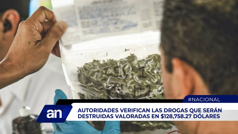 AN Formato 02_Mesa de trabajo 1 copia 2