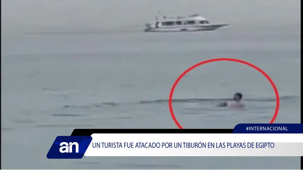 bv_Mesa de trabajo 1