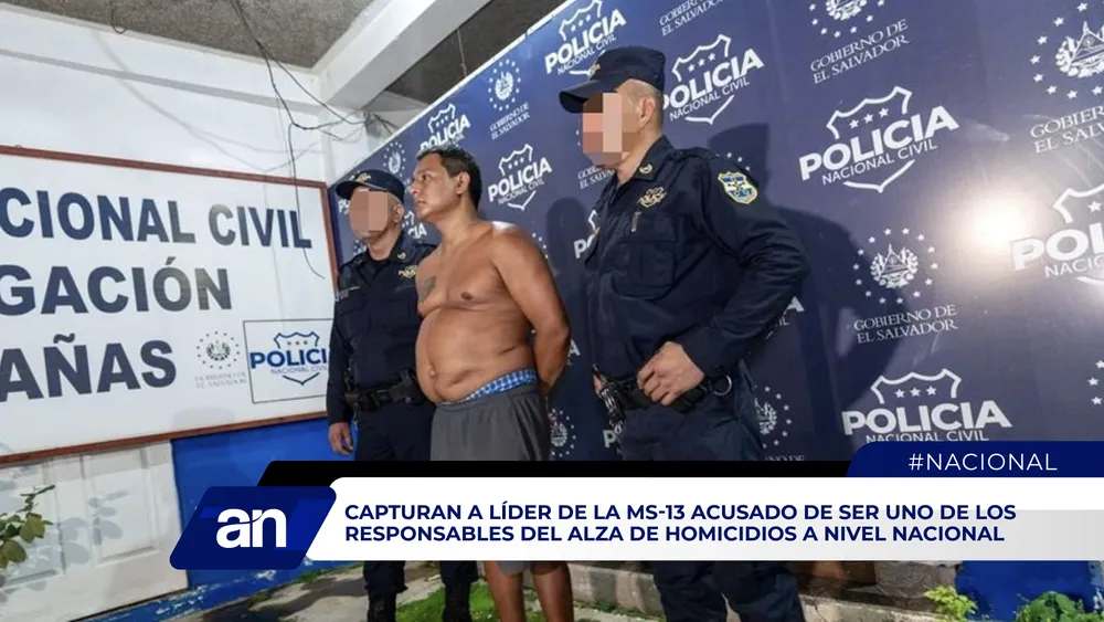 AN Formato 02_Mesa de trabajo 1 copia 5