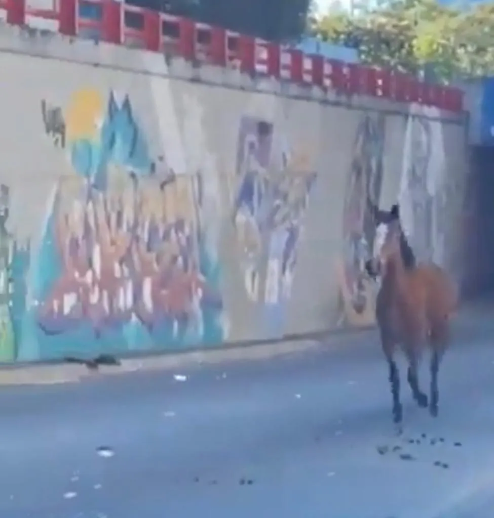 WhatsApp Image 2024-01-22 at 11.18.09 AM